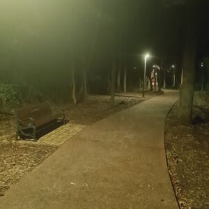 Walk 4